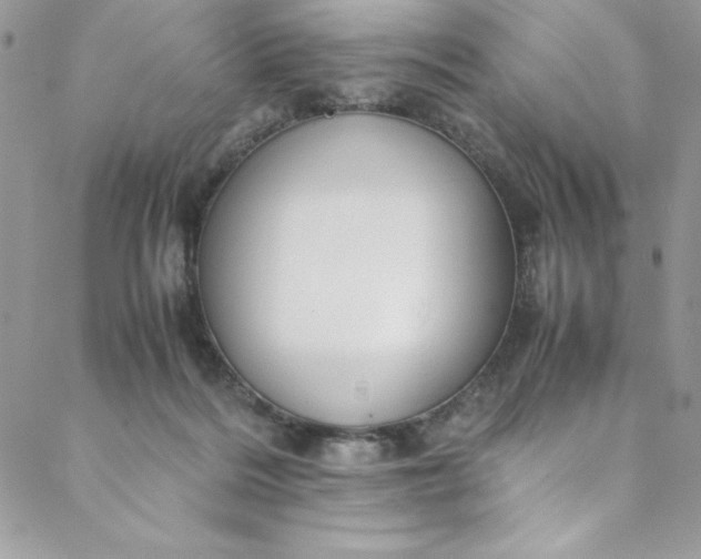 X0000088600220200706081401