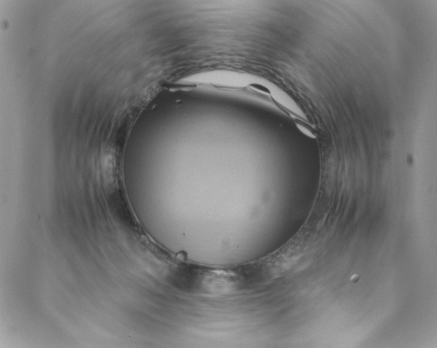 X0000088600222200706081401