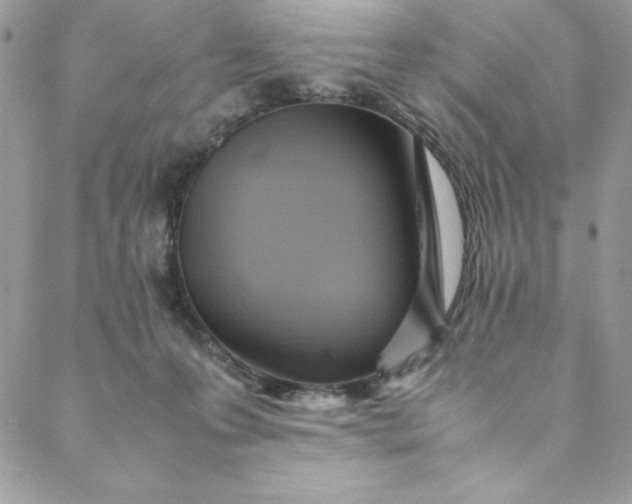 X0000088600223200706081401