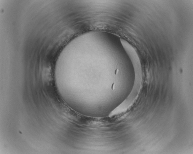 X0000088600224200706081401