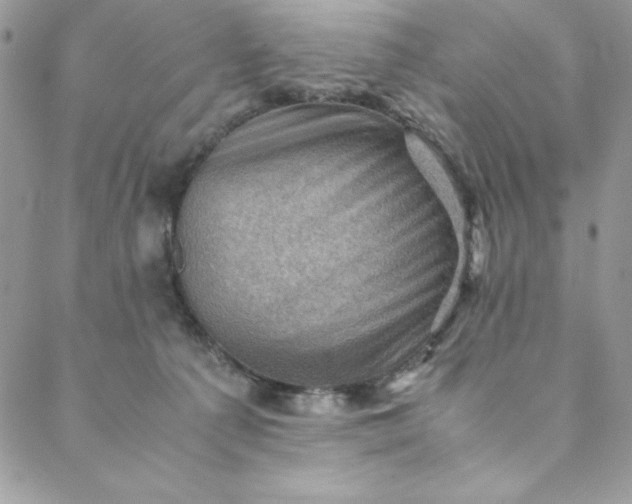 X0000088600225200706081401