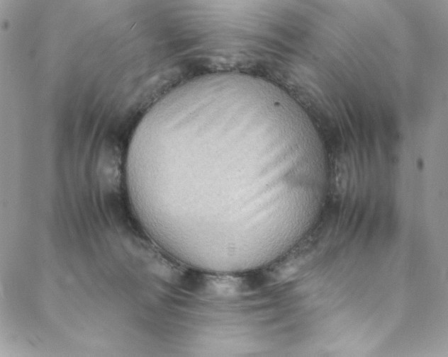 X0000088600226200706081401