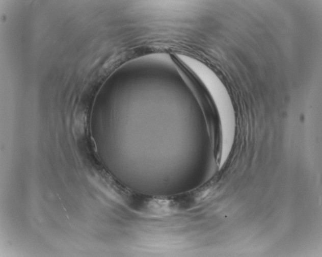 X0000088600227200706081401