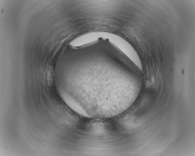 X0000088600228200706081401