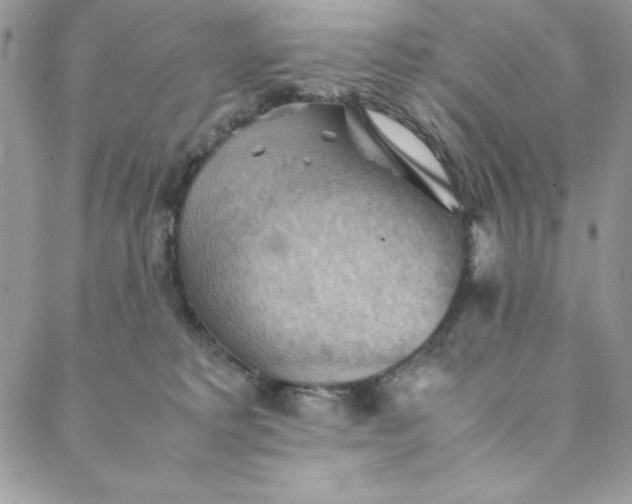 X0000088600229200706081401