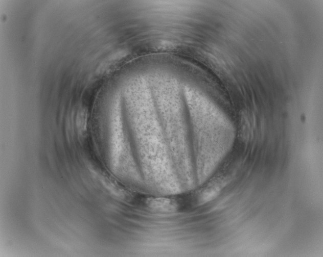 X0000088600230200706081401