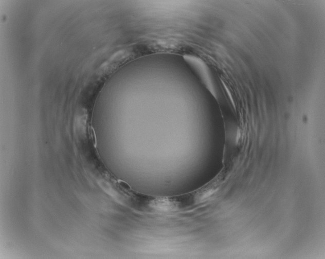 X0000088600231200706081401