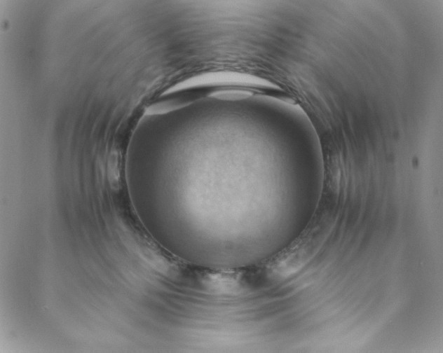 X0000088600232200706081401