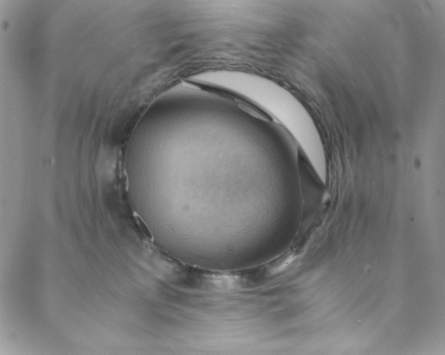 X0000088600233200706081401