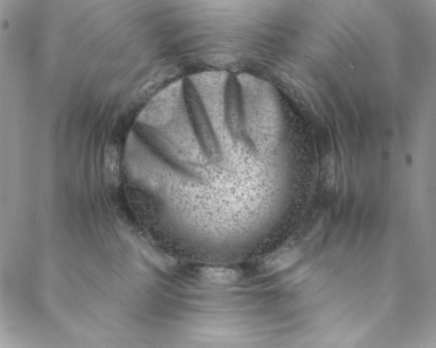 X0000088600234200706081400