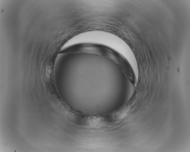 X0000088600235200706081400