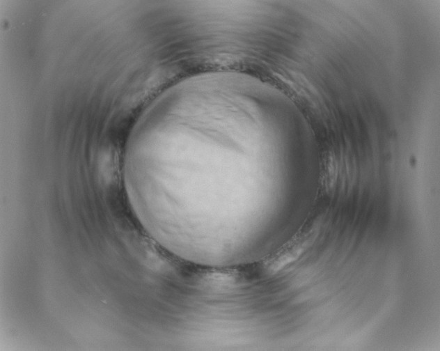 X0000088600236200706081400