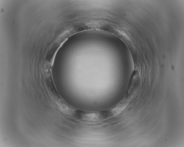 X0000088600237200706081400