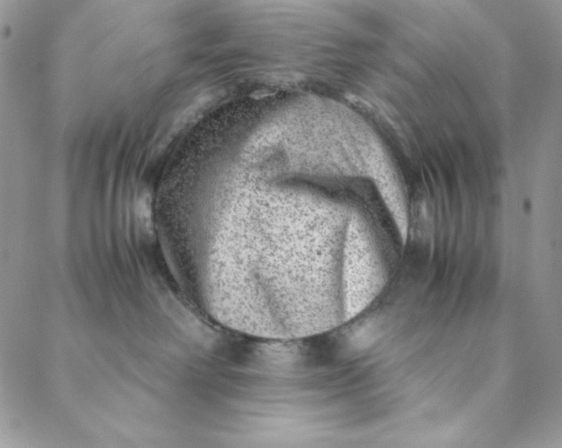 X0000088600238200706081400