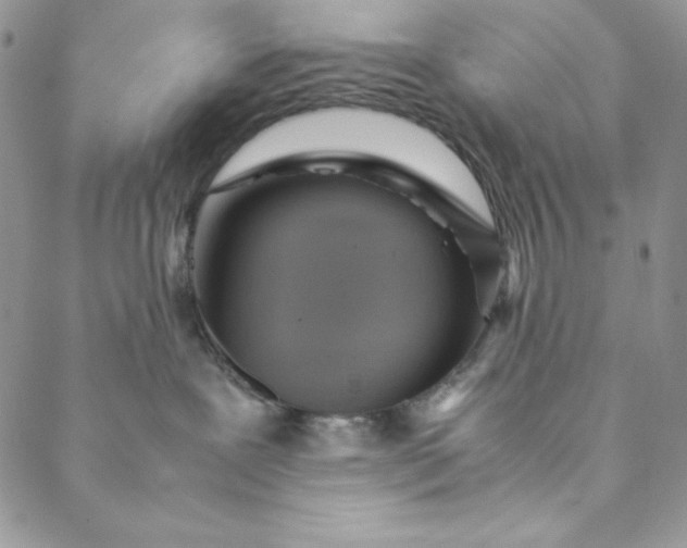 X0000088600239200706081400