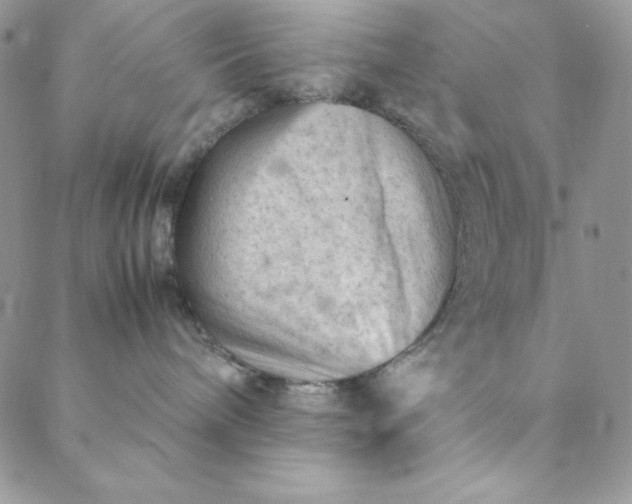 X0000088600240200706081400