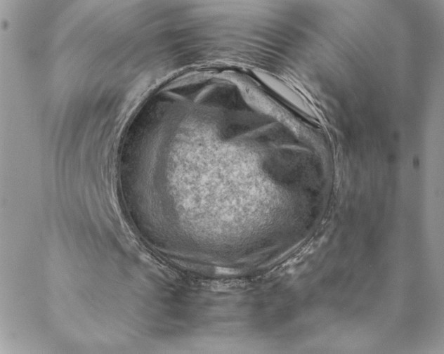 X0000088600241200706081400