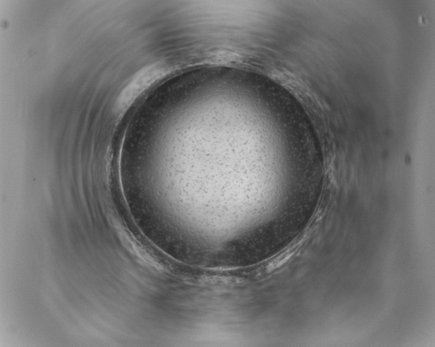 X0000088600242200706081400