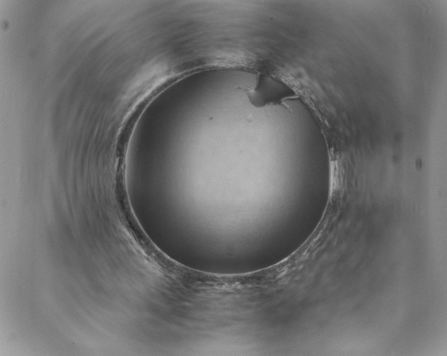 X0000088600243200706081400