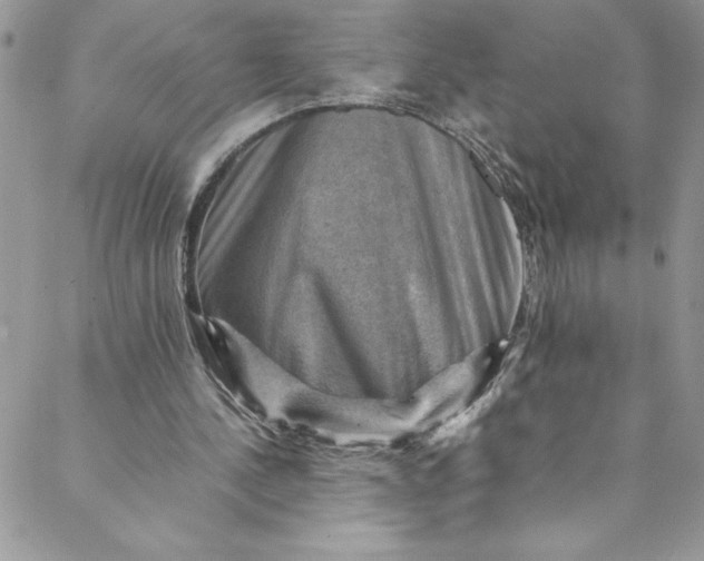 X0000088600244200706081400