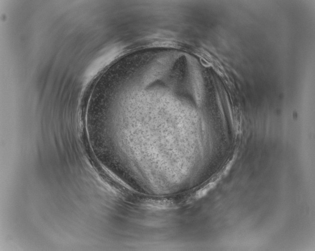 X0000088600245200706081400