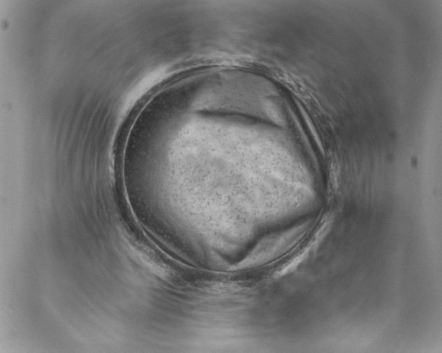 X0000088600246200706081400