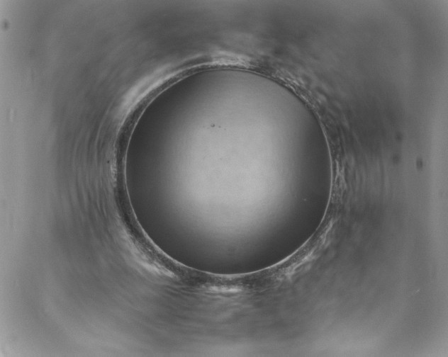 X0000088600247200706081400