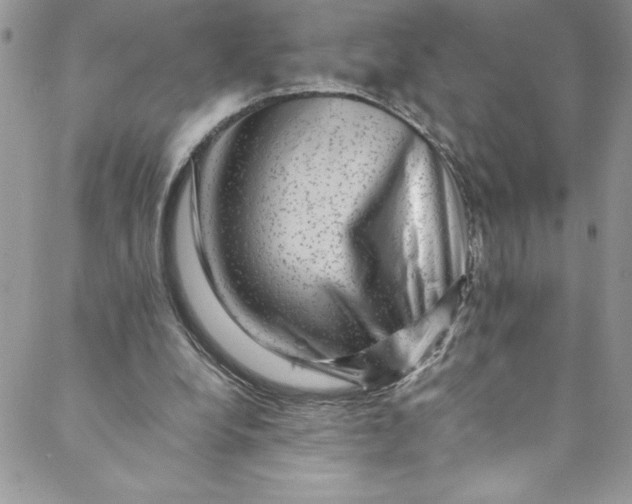 X0000088600248200706081400