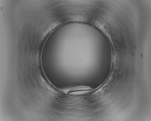 X0000088600249200706081400