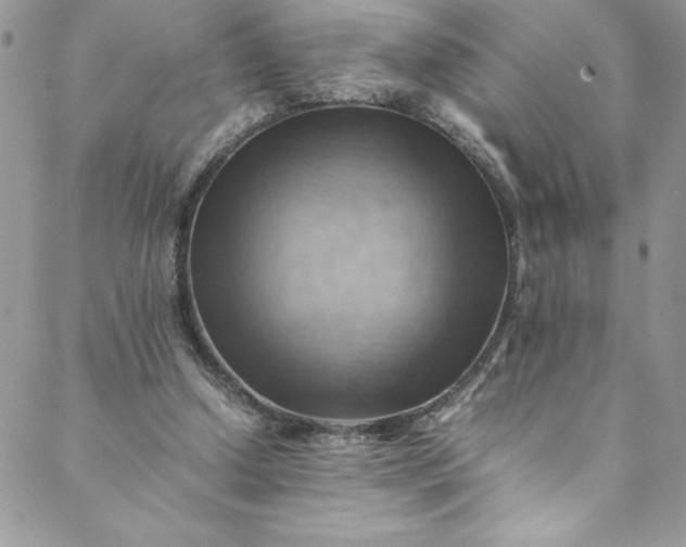 X0000088600250200706081400