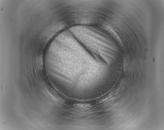 X0000088600251200706081400