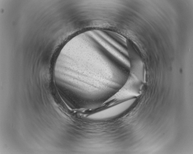 X0000088600252200706081400