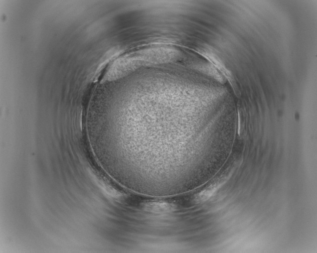 X0000088600253200706081400