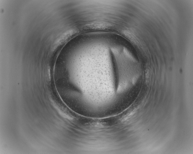 X0000088600254200706081400