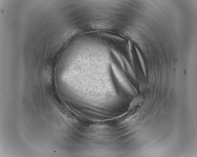 X0000088600255200706081400