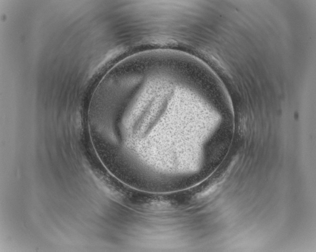 X0000088600256200706081400