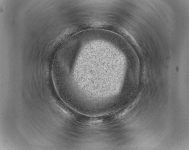 X0000088600257200706081400