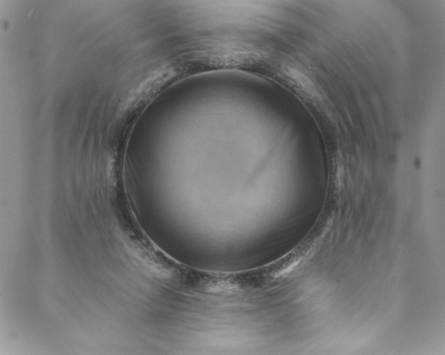 X0000088600258200706081400