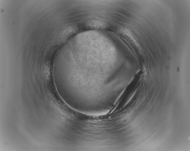 X0000088600259200706081400