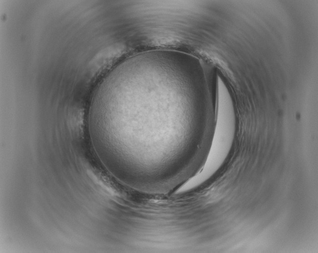 X0000088600260200706081400