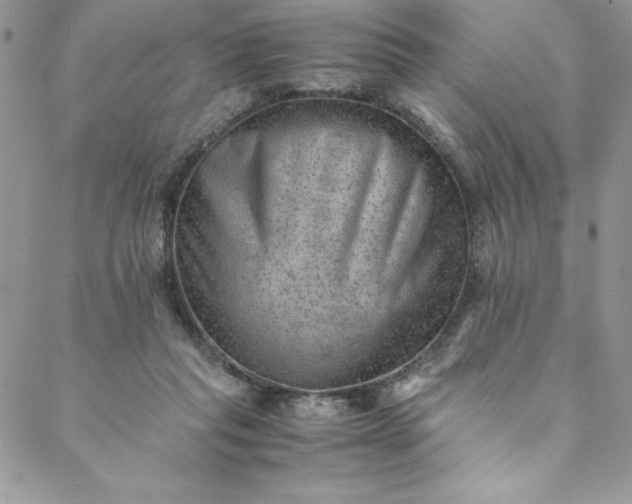 X0000088600261200706081400