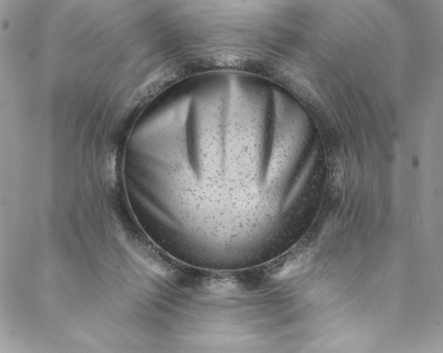 X0000088600262200706081400