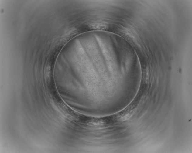 X0000088600263200706081400