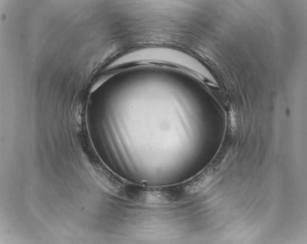 X0000088600264200706081400