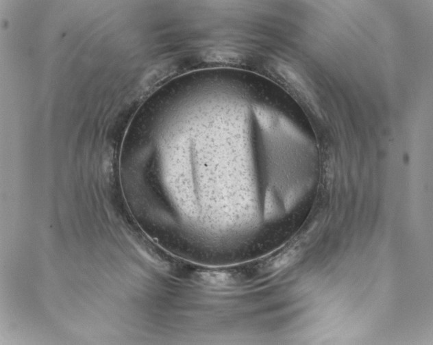 X0000088600265200706081400