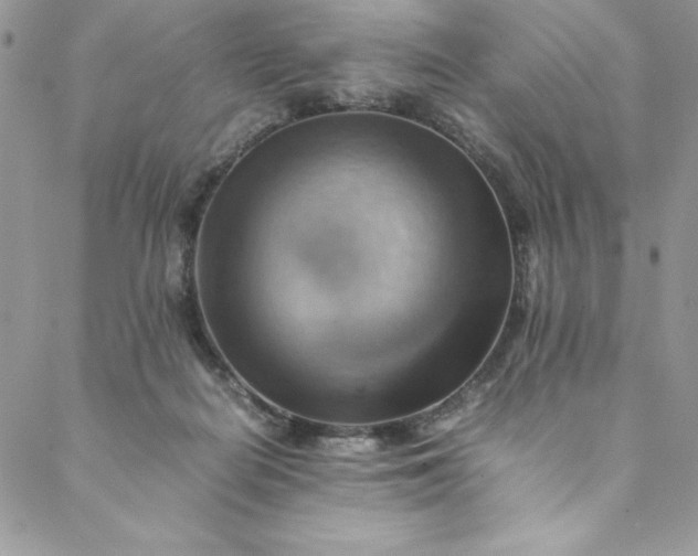 X0000088600266200706081400