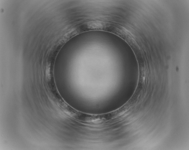 X0000088600267200706081400