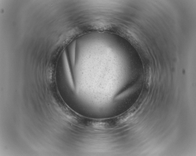 X0000088600268200706081400