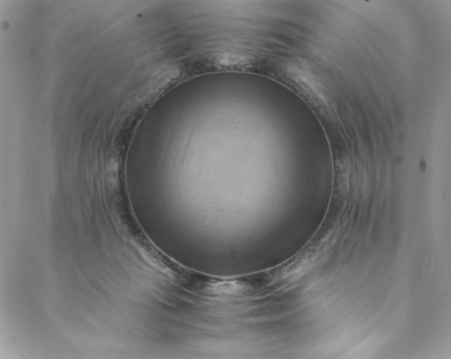 X0000088600269200706081400