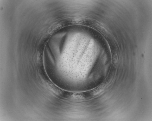 X0000088600270200706081400